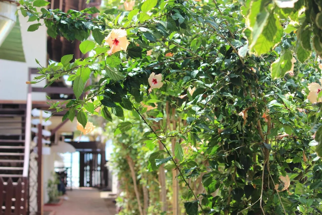 Inn Pousada Parador 081 Hotel Porto de Galinhas Brazil